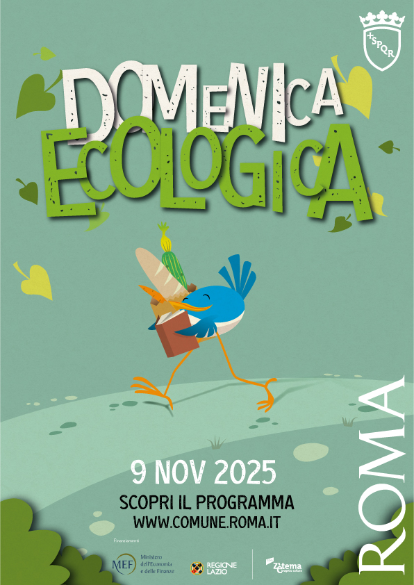 Domenica 9 novembre 2025